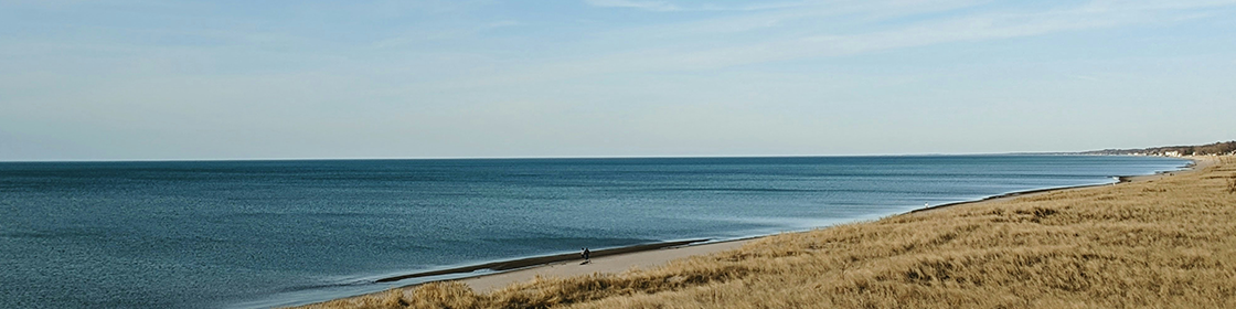 REMI School of Real Estate