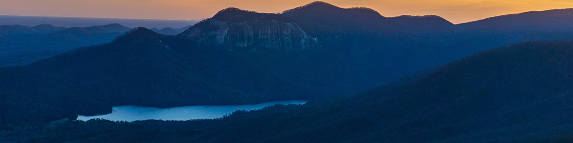 REMI School of Real Estate