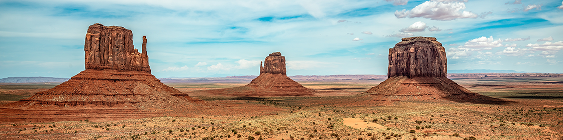 REMI School of Real Estate